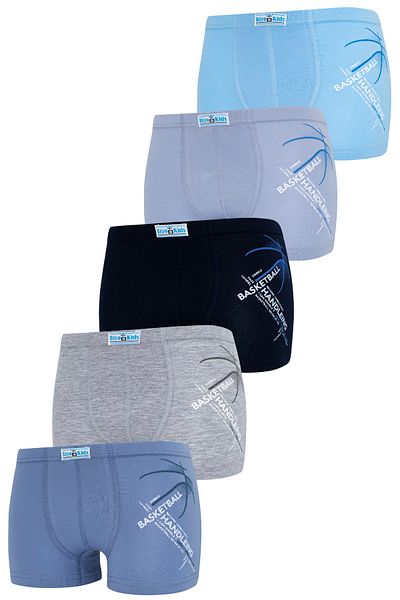biyokids Boy's 5 Pack Mixed Color Printed Boxers
