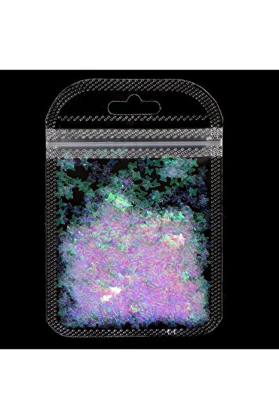 Beauty Box Holografik Kelebek Pul Makeup Nail Art Resin Art Kalıcı Oje Protez...