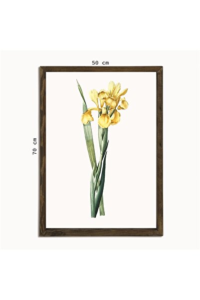 TURER Masif Çerçeveli Çiçek Resmi Baskılı Tablo