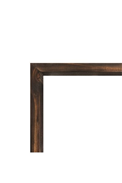 TURER Masif Çerçeveli Çiçek Resmi Baskılı Tablo