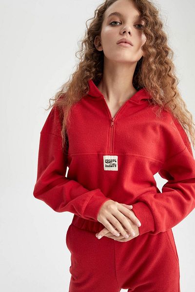 DeFacto Cool Regular Fit Hooded Sweatshirt