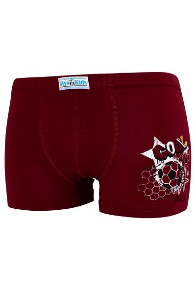 biyokids Boy's Boxer Pack of 5 Mixed Color Printed Boxers