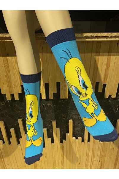 Çorap Kurdu Desenli Karakterli Renkli Soket Çorap Çk22