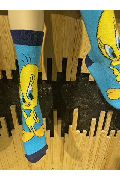 Çorap Kurdu Desenli Karakterli Renkli Soket Çorap Çk22