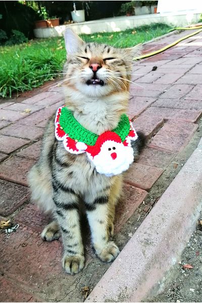 PATİBÖR Red Christmas Cat Dog Neck Collar