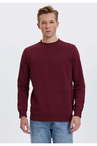 WESTMARK LONDON Мъжки суитшърт с кръгло деколте от 100% памук, щампа, Better Cotton