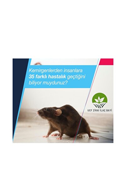 Bayer Racumin Fare Ve Sıçanlar Için Zehirli Buğday 250gr Yeni Ve Taze Ürün