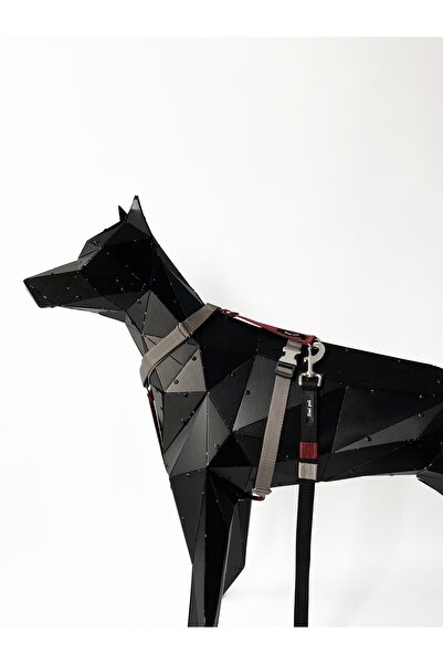 Jimi pet Drago Model Leash Set