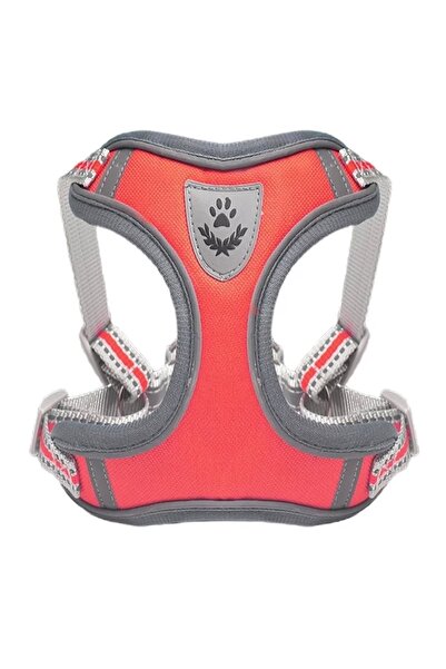 Mixpet Köpek Armalı Göğüs Tasması Gezdirmeli Small Kırmızı