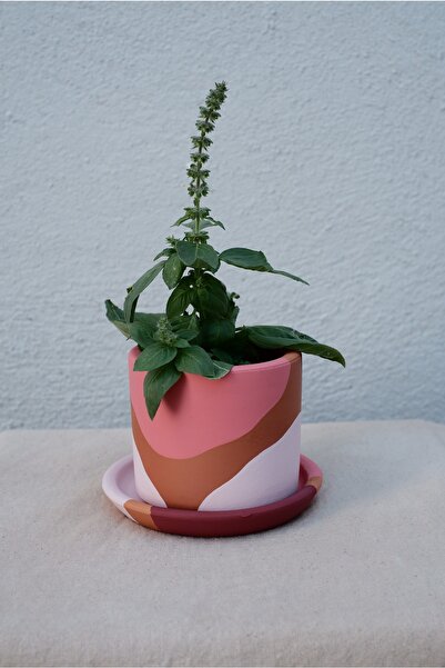 fidayy Terracotta Saksi Pembenın Tonları Minik 9.5x8