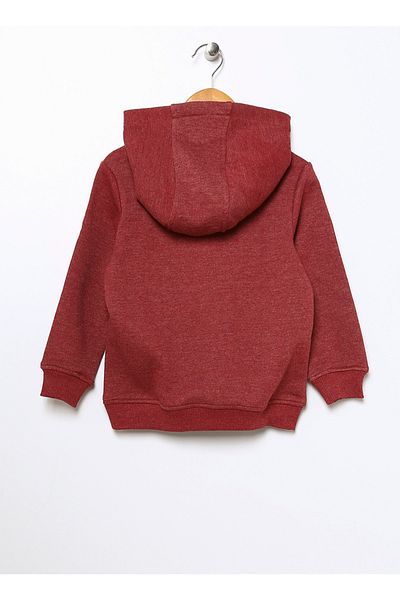U.S. Polo Assn. Червен суитшърт за момче - Jaxelsk022