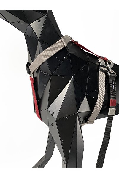 Jimi pet Drago Model Leash Set