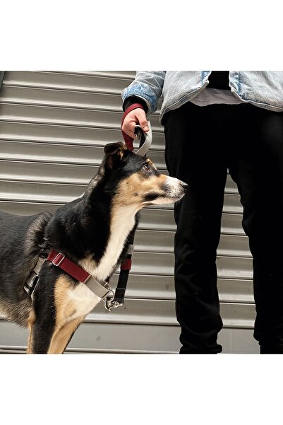 Jimi pet Drago Easy Walk Önden Çekmeli Göğüs Tasması