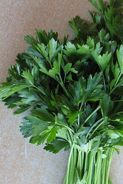 Köy Tohumları 500 Adet Tohum Maydanoz Tohumu Geniş Yapraklı Maydonoz Organik ...