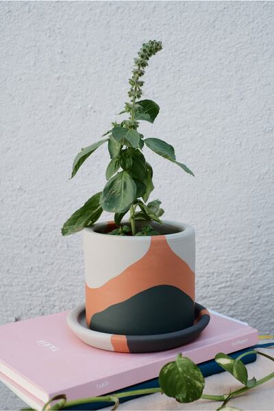 fidayy Terracotta Saksi Yeşilin Tonları Minik 9.5x8cm