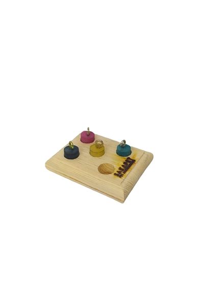 SAKAPET Natural Colored Parrot Wooden Intelligence - Educational and Interactive Toy