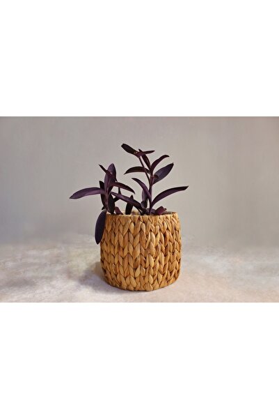 Emeksanatı Hasır Saksı Orta Boy Çap 20cm Yükseklik 18cm