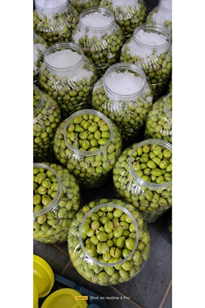 mut incisi zeytin & zeytinyağı Kırma Yeşil Zeytin Net : 3,5 Kg