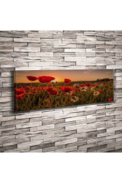 Asilmeydan Kırmızı Gelincik Çiçeği -doğa -yatak Başı - 25x90 Cm Dekoratif Kan...
