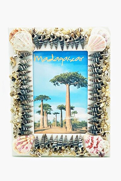 Dünyadan Hediyeler Dekoratif Ahşap Marin Deniz Kabuklu Resim Çerçevesi 16x22c...