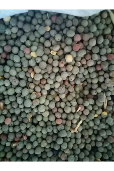 ARGE 25 Kg Macar Fiğ Tohumu 1 Sınıf Elenmiş