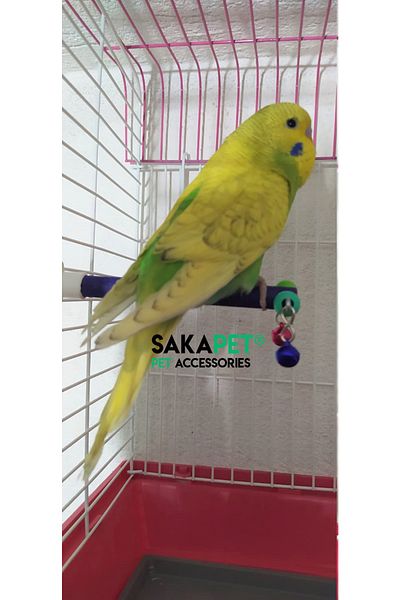 SAKAPET 2 Single Perches with Budgie Bells