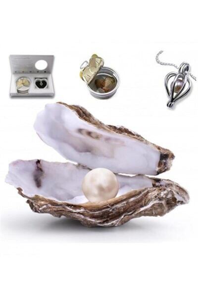 Revello Real Pearl Necklace In Oyster