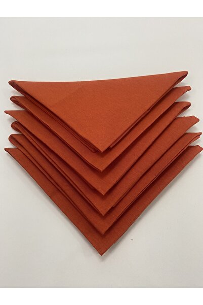 NATURAL HOME Orange Fabric Napkin Special Stitched 6-Piece Napkin Set