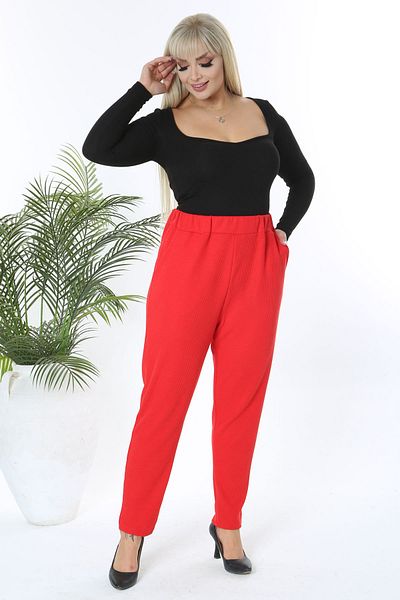 Plus size red best sale high waisted pants