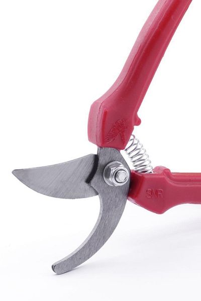 Telvesse Akman Bağ Garden Plant Grape Citrus Branch Pruning Shears Curved Tip
