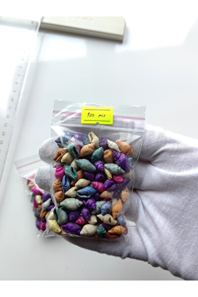 Seashell Rio صدف صغير : ناسا ملون / 100 قطعة / 1- 2 سم / بدون ثقب