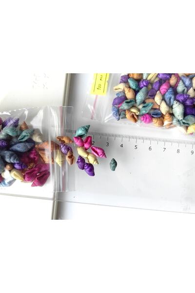 Seashell Rio Tiny Seashells: Colorful Nassa / 100 Pieces / 1- 2 Cm / Without Holes