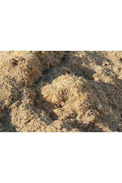 SARIGELİN ÇİFTLİĞİ Bugday Samanı Ince Kıyım Kemirgen, Kuş, Folluk, Sürüngen O...