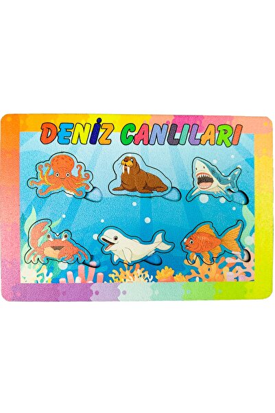 artı dekor 5'li Eğitici Çocuk Bultak Yabboz Puzzle Seti1 14x20 Cm (BT 1-5)