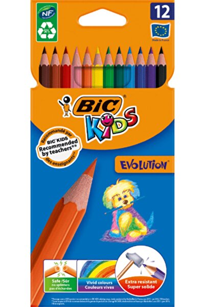 Bic Bıc Kids Evolution Kırılmaz Kuru Boya Kalemi, 12'li Kutu
