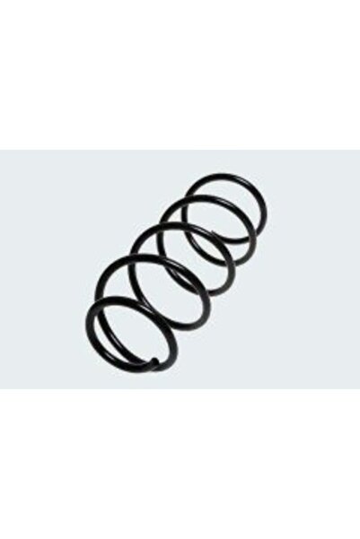 Genel Markalar Renault R9 Brodway Ön Helezon Yayı 7704001633