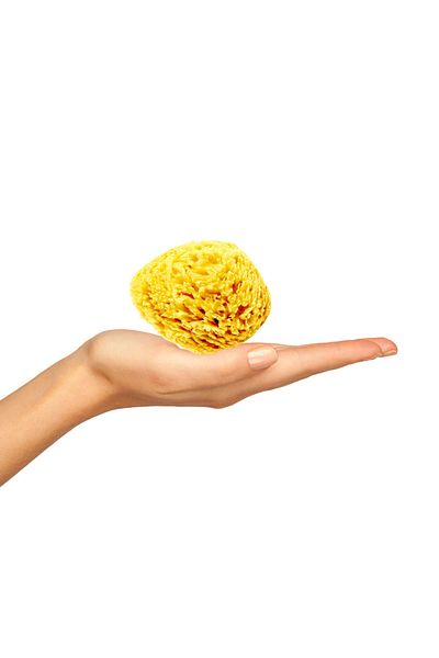 BAZAAR 4 Sea Sponge Baby Size Baby Size (10-13) GrBz-6567