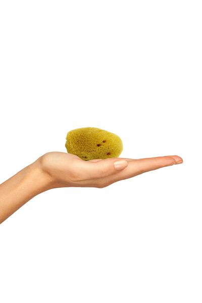 BAZAAR 4 Sea Sponge Child Size (17-20) GrBz-8122