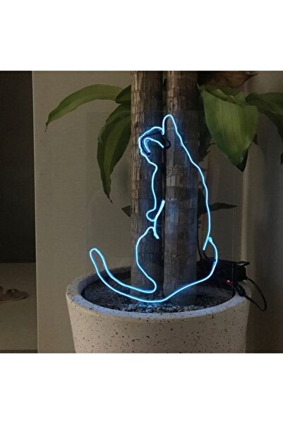 Red Proje Neon Led Aydınlatma Catback Gece Lambası Parti Süsü Işıklı Duvar Dekor