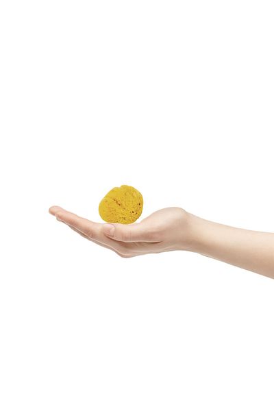 BAZAAR 4 Sea Sponge Baby Size Baby Size (5-7) GrBz-0656
