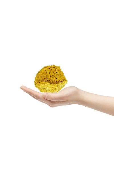 BAZAAR 4 Sea Sponge Baby Size Baby Size (13-17) GrBz-9536