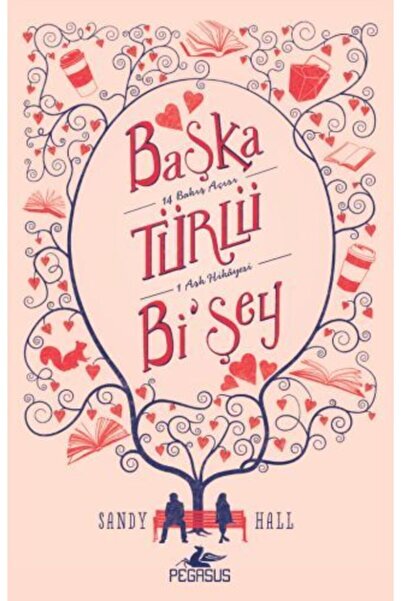 Pegasus Yayınları Başka Türlü Bi'şey