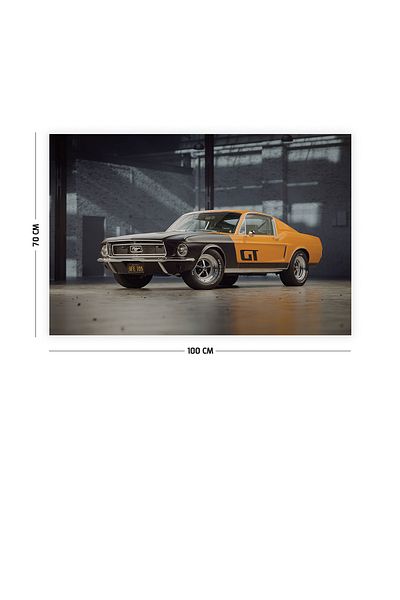 Vagonik Χαλί τοίχου 70x100 cm GT