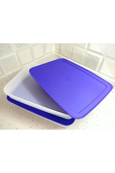 Tupperware Alaska Storage Set of 2