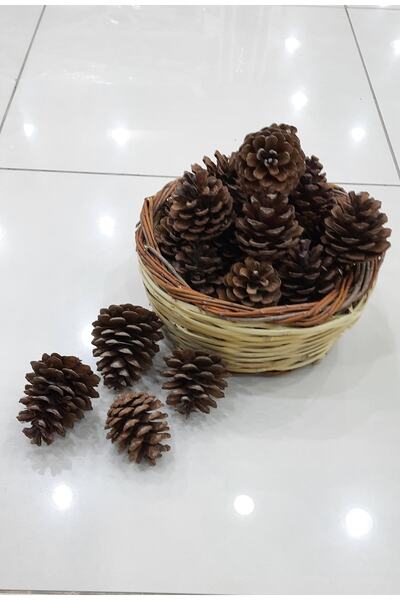Söylemez Yöresel Doğal Çam Kozalağı Dekoratif Kozalak Çam Kozalak Yılbaşı Süs...