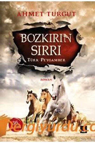 Kapı Yayınları Bozkırın Sırrı