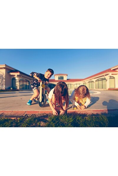 koziwood 06 Denge Bisikleti-ahşap Pedalsız Bisiklet-siyah