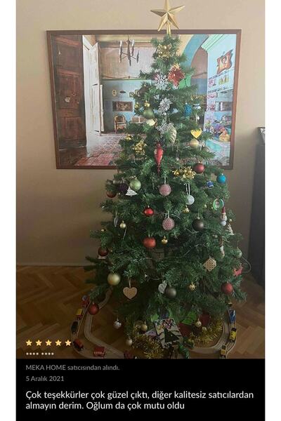 MEKA HOME Yılbaşı Çam Ağacı 210 Cm 750 Dal