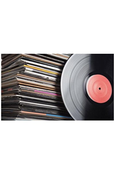 Plakevi İzmir 1 Tane Dekor Için 33 Lük Büyük Plak (BÜYÜK PLAK)