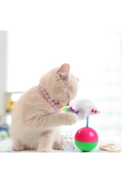SENNEDİLERSEN Kedi Oyun Topu Tüylü Fareli Hacı Yatmaz
